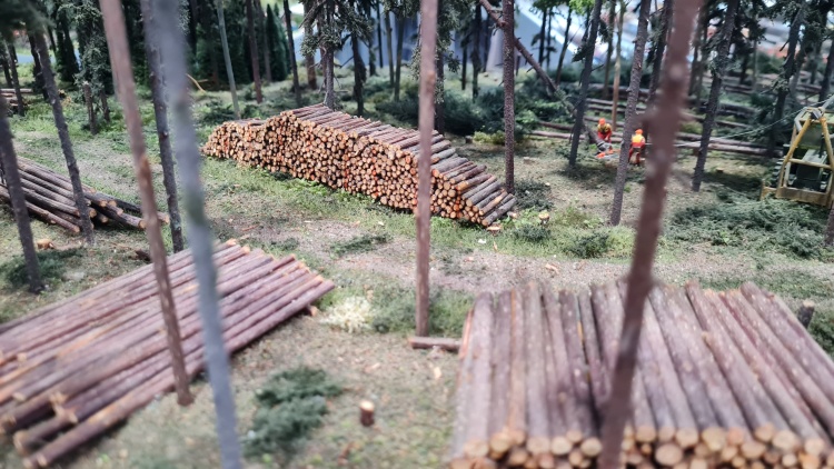 Holzpolter im Wald Holzpolter im Wald
